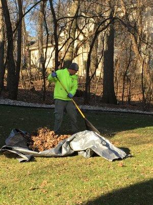 Spring Cleanup