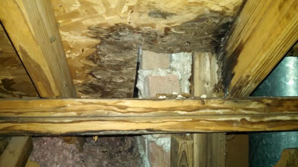 The fireplace has separated from the home causing a leak.