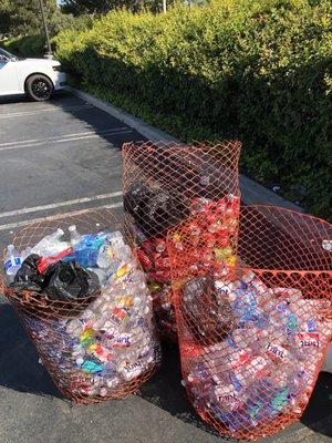 Recycling fun in the sun!