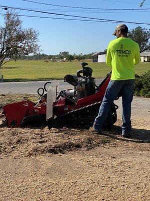 Stump grinding.