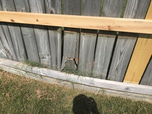 Broken fence