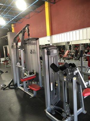 Cybex selectorized equipment up front Hammer strength and Tanning in the back!