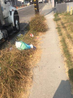 the sidewalk and trash the street sweeper leaves behind on street