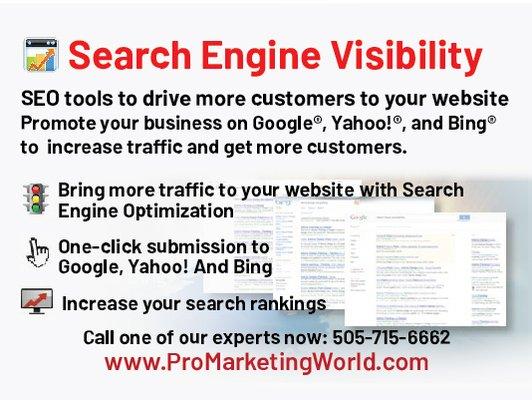 Search Engine Visibility and Google Ranking Services with Pro Marketing World