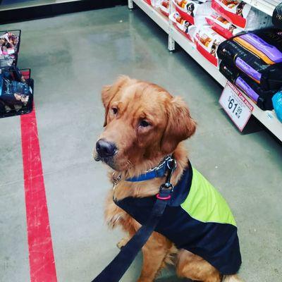 Han doing a field trip at Tractor supply.