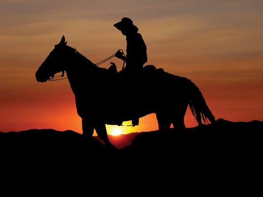 ARIZONA SUNSET