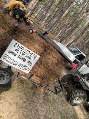 My business sign and longleaf pinestraw on one of my trailers