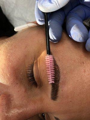 Brows Beverly Hills