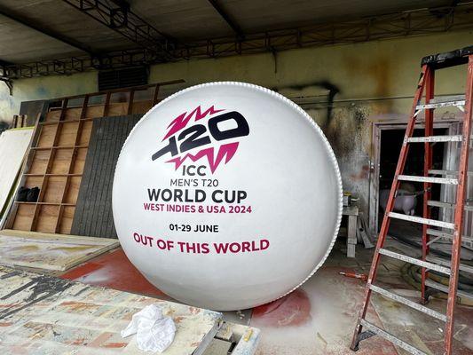 3-D 8 foot cricket ball