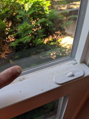 More window seals not being cleaned with dust on finger