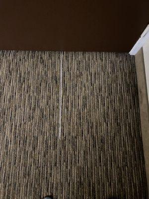 Torn carpet by entryway