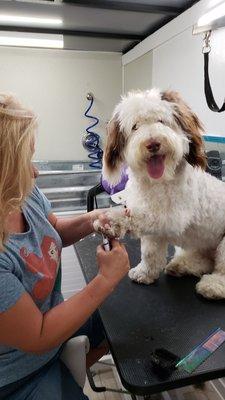 My baby Greyson loves his spa day