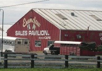 Enumclaw Sales Pavilion