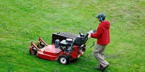 Spring Lawn Care