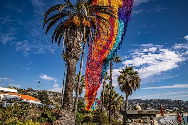 Flying Art in Laguna Beach