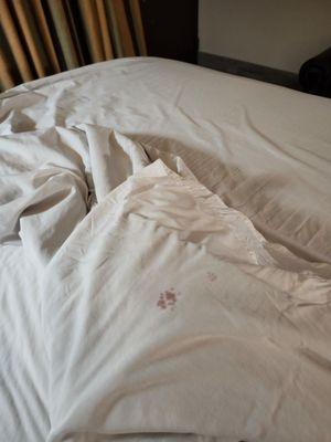 Dirty sheets!