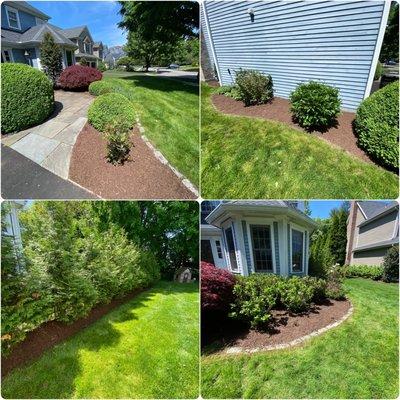 Mulch Installation/Weed Removal