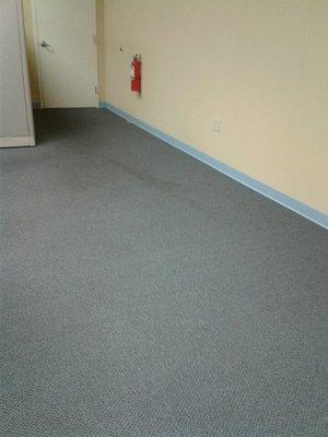 Before Carpet Cleaning in Dallas, TX