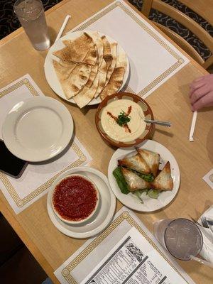 Yummy appetizers! Spanakopita and hummus!