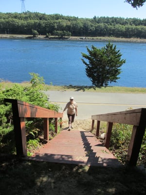 A way down to the bike path