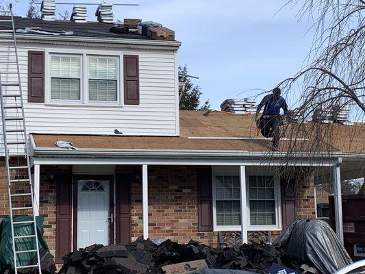 Shingle roof