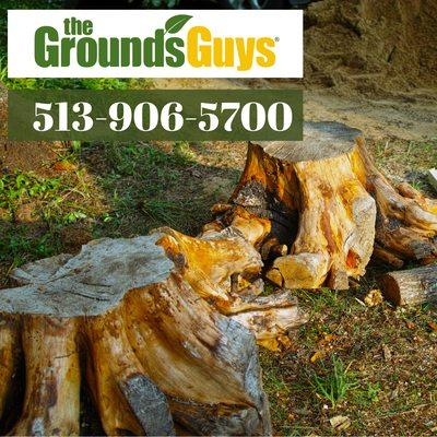 Tree and stump removal and grinding.