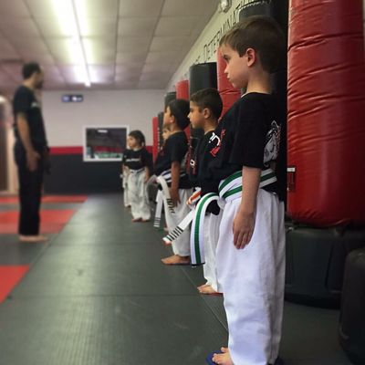 These kids are the future. So proud of our little ninjas, focused, disciplined, and having fun learning martial arts and self defense!