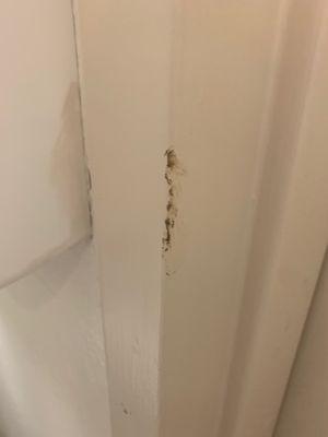 Poop smeared on the wall on the first day moved into room at Chateau Living Center, Kenner, Louisiana.