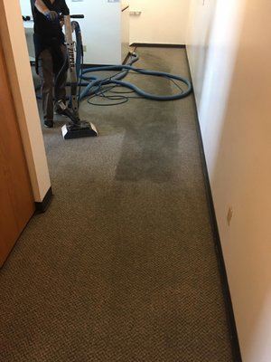 Excel Pro Carpet Cleaning