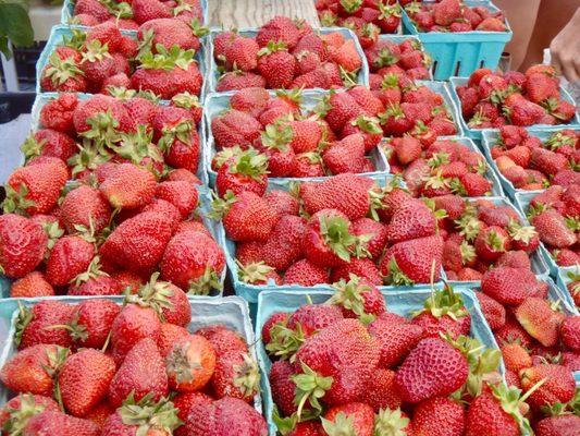 Strawberries at the Farmers Market