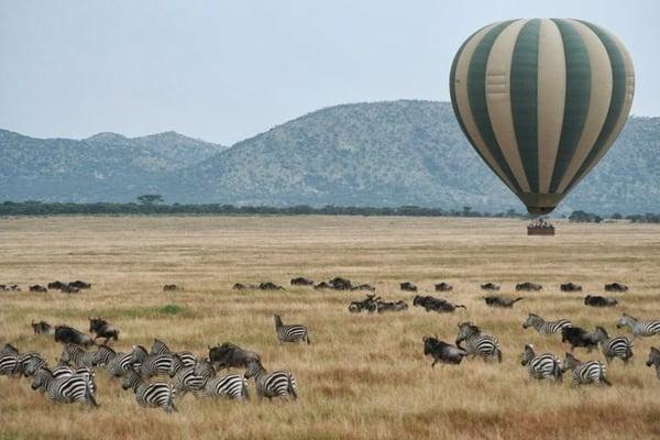 The best way to see South Africa