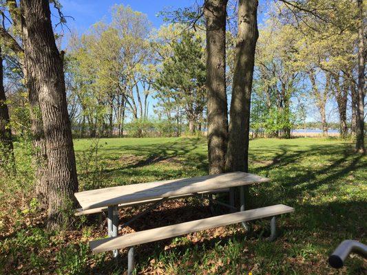 Older picnic tables but a nice vista