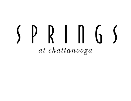 Springs At Chattanooga Apartments