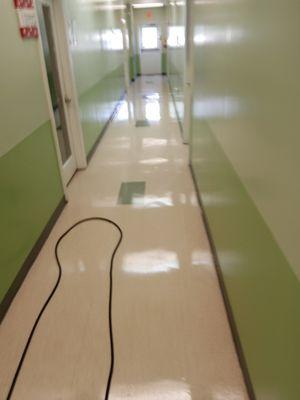 VCT Tile floor