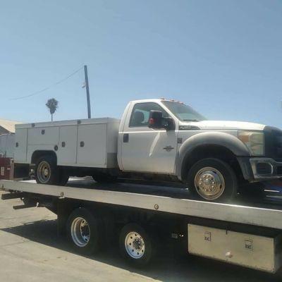 Rodz Towing