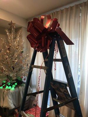 The bow they threw in to make my ladder even better.