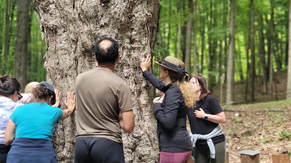 Connect to nature, through our guided nature meditation.