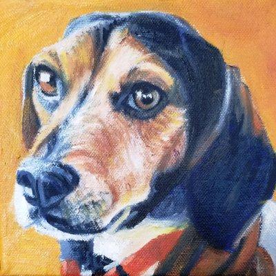 Custom pet portrait of a sweet beagle by Karen Seltzer.