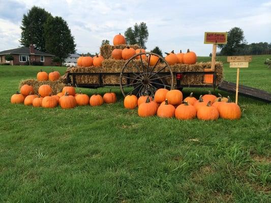 Fall display at Travelers Loft