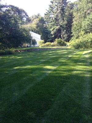 Lawn in Stow Ma fertilized by Elite Turf Care