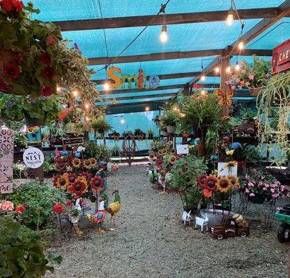 Pumpkinvine Gardens Flower Shoppe's spring season (April - July). Gorgeous flowers, indoor plants and metal yard art.