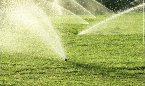 Rotary sprinkler heads. These babies can spray up to 60 feet great for large lawn areas.