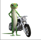 Call our local office for a motorcycle quote today. (203)799-2886.