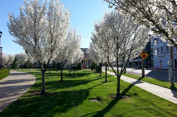 Circus Square Park