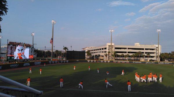 Canes, baby.