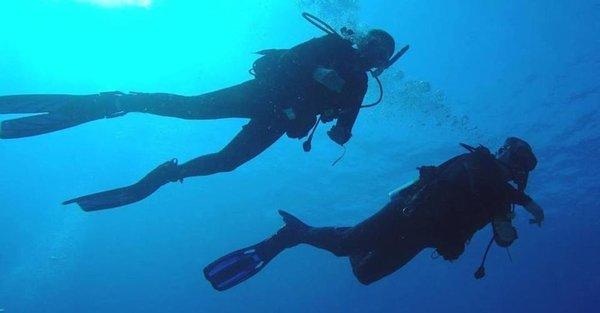 Owners, Deb & Chris leading a dive.