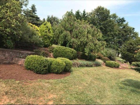 P & C Brothers Landscaping