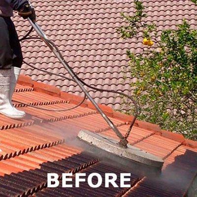 Roof cleaning