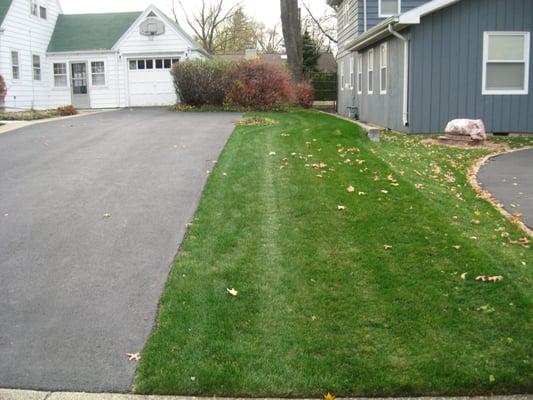 One of our lawns in Palatine.