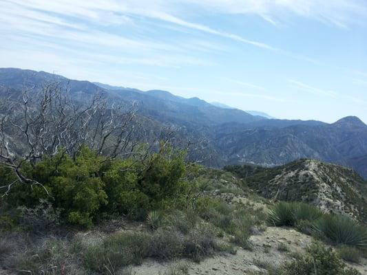 view from Fox Mountain